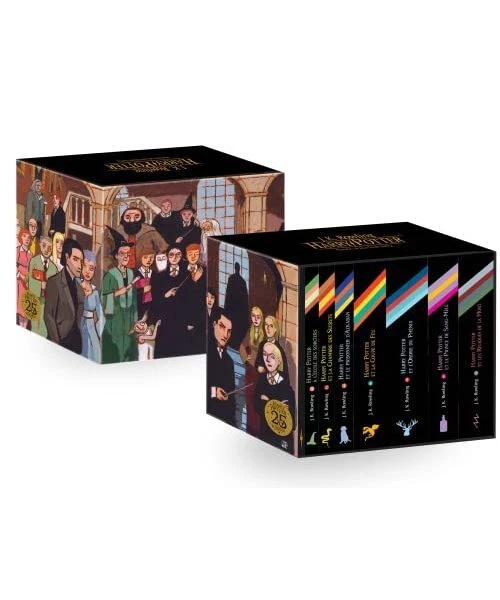 COFFRET COLLECTOR HARRY Potter a lècole des sorciers ( èdition limitèe
