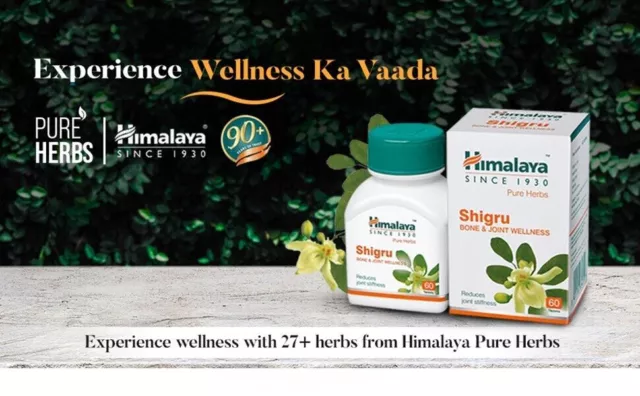 Himalaya Wellness Pure Herbs Shigru Bienestar de huesos y articulaciones -...