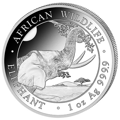 Somalia Elefant Elephant 1 Oz Silber 999.9  African Wildlife 2023 Anlagemünze