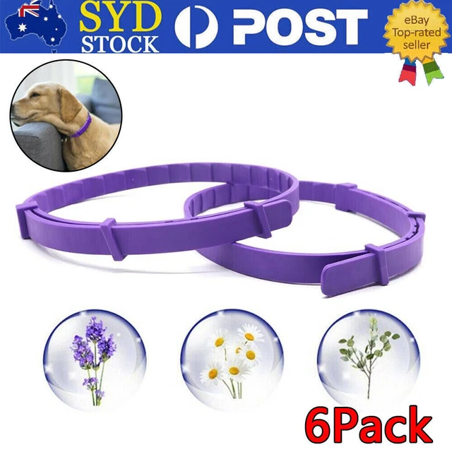 Calming collars best sale for dogs australia