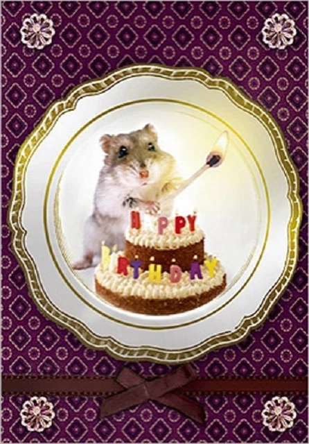 Carte 30 Ans Carte Anniversaire 30 Ans Central 23 - Design Oiseau Et Chat Humoristique Carte D'anniversaire Femme