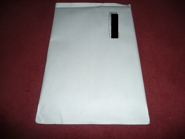 PLAYBOY 01/2025 JANUAR 2025 - Playmates des Jahres und Kalender - NEU