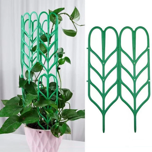 Cadre d'escalade Support d'escalade Support pour plantes Tige de fixation