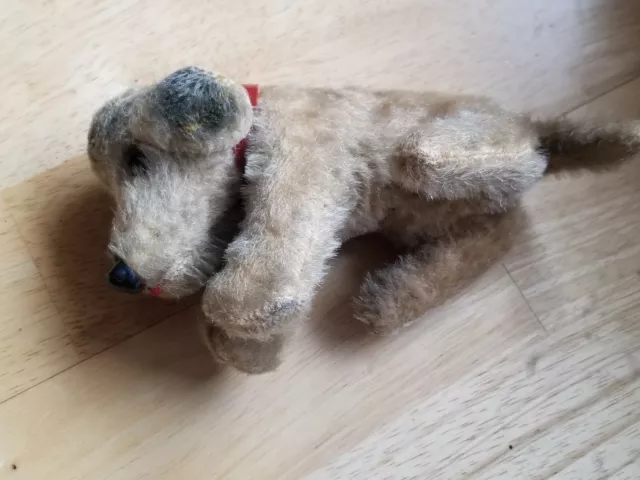 Steiff Hündchen alt ca 15cm mit rotem Halsband-  Foxterrier