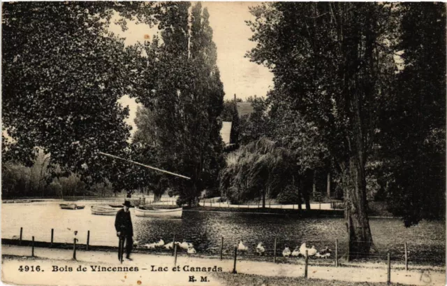 CPA Bois de VINCENNES - Lac et Canards (519485)
