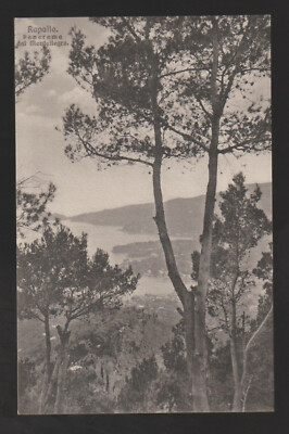 BRUNNER RAPALLO GENOVA CARTOLINA FP OPACA N 