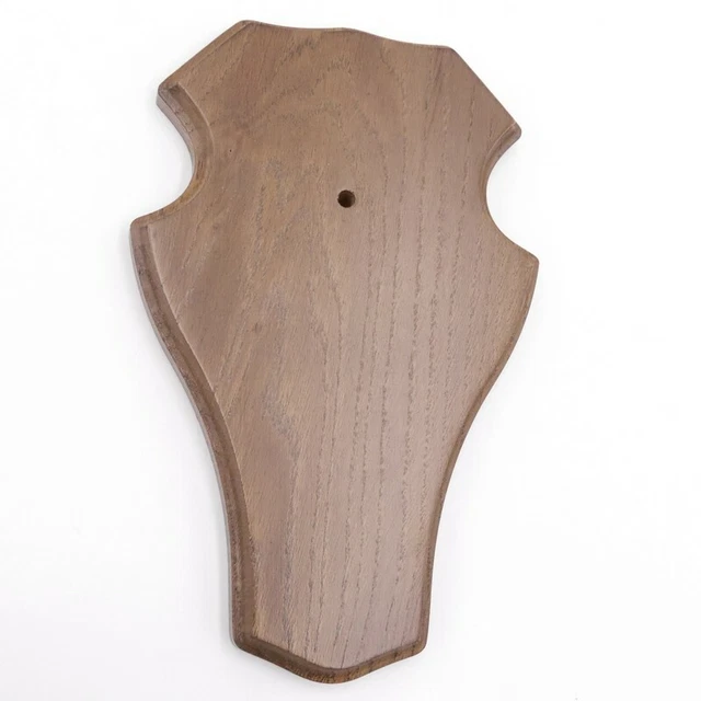1 Pieza Ciervo Escudo de Trofeo Romo Grande Braun Af 21 X 13CM 3