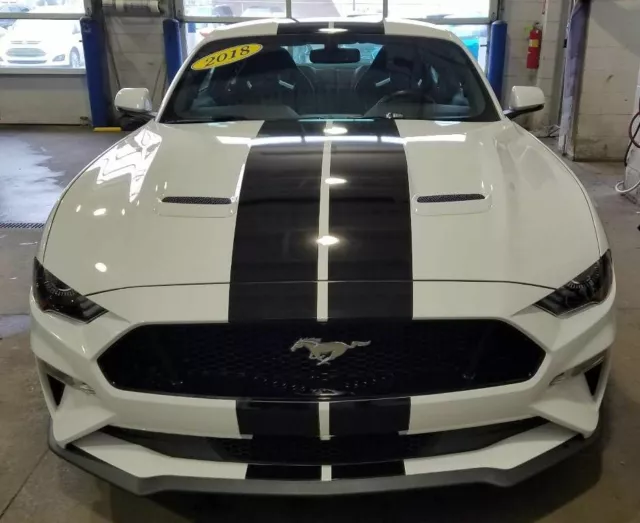 FORD MUSTANG-SHELBY RACING Stripes Decal Vinyl Sticker Viper Stripes £ ...