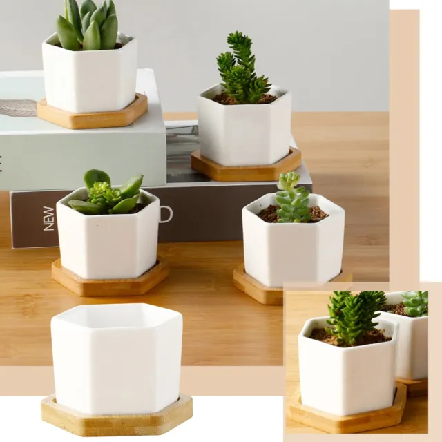Hexagonal Succulent Planter With Tray White Mini Ceramic Decorative Planter