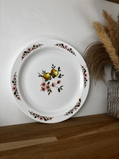 ANCIEN PETIT PLAT Faitout Arcopal Vintage motif Fruitier Poires Pommes Raisins EUR 14,90 - FR