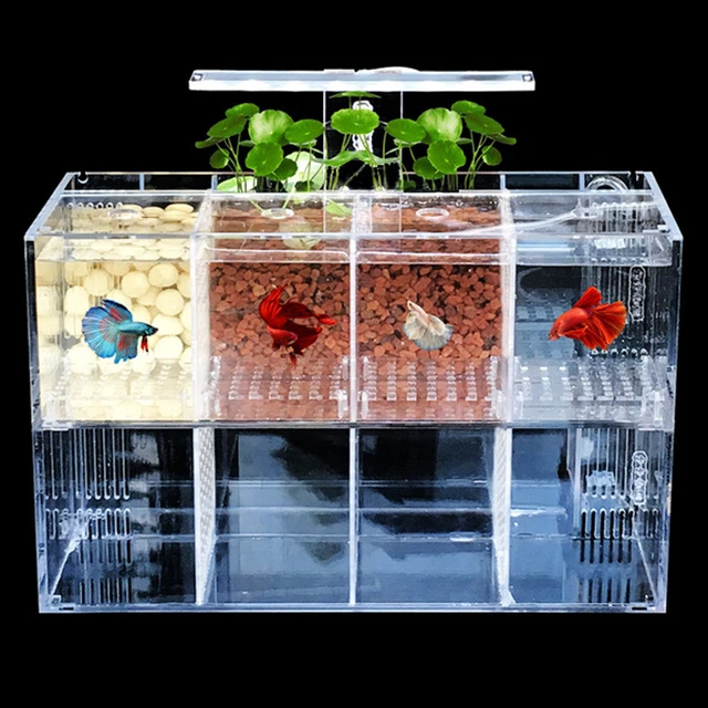 Aquarium Fish Tank Breeding Isolation Box Acrylic Breeder Aquarium Tank Hatchery