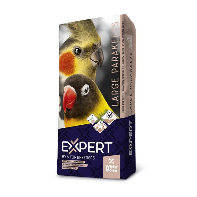 Periquitos grandes EXPERTOS - semilla de pájaro - semilla de periquito - semilla de loro - pájaro sano