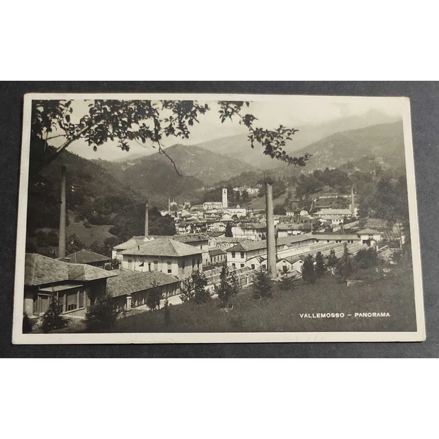 Cartolina Vallemosso - Panorama
