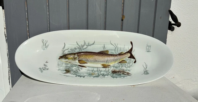 Service à Poisson Ancien En Porcelaine Blanche Badonviller - Assiettes (c2)