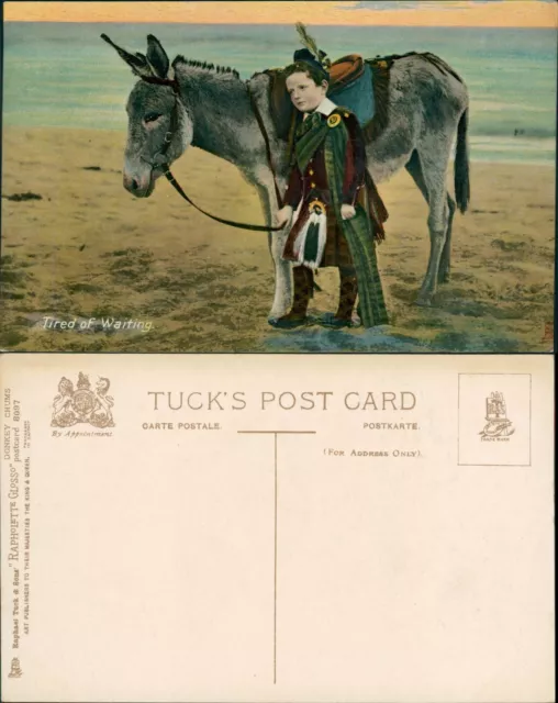 Tired of Waiting Scottish Boy & Donkey Chums Tucks Rapholette Glosso 8097