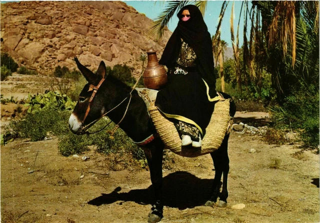 CPM AK Dans le Sud Marocain MAROC (881325)