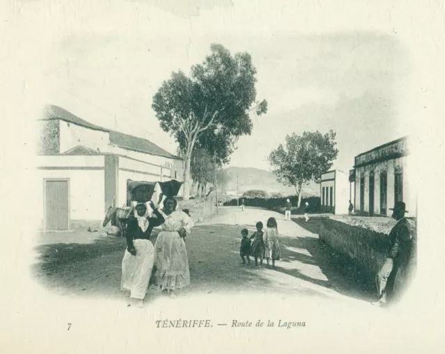 Tenerife Carretera De La Laguna. Año 1902