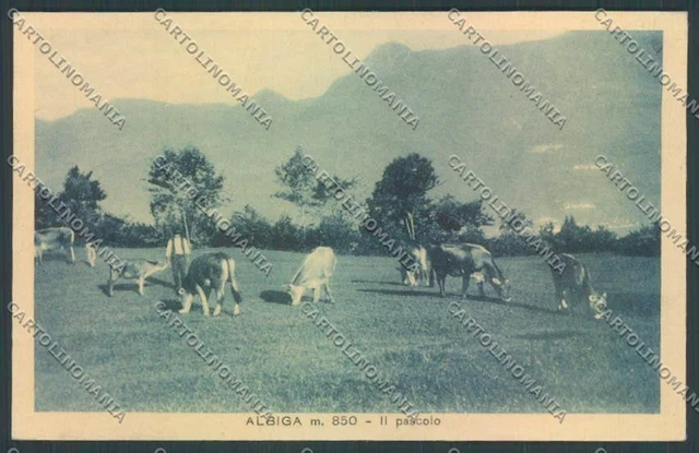 Lecco Albiga cartolina LQ4762