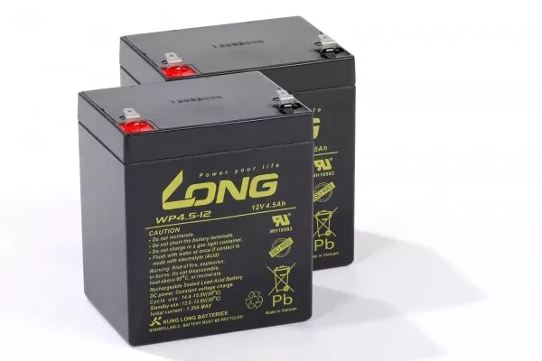 Batteria compatibile sollevatore tipo Minstrel - tipo HMX00310.0a AGM piombo batteria esente da manutenzione
