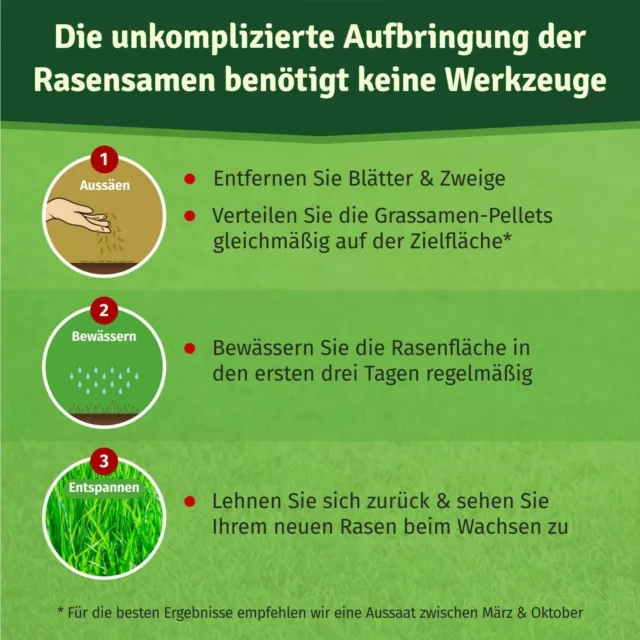 Rasenpellets Regeneration Rasensamen Grassamen robusten widerstandsfähigen Rasen 3