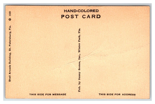 SNELL ARCADE BUILDING St Petersburg FL UNP Hand Colored Albertype