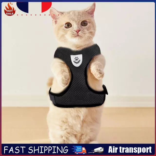 Pet Cat Dog Harness Kitten Mesh Vest Walking Lead Leash for Training (Black S) F