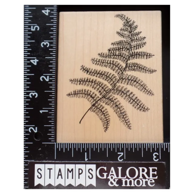 Great Impressions Rubber Stamps J41 LG FROND MONKEY PAW FERN PLANT #1757