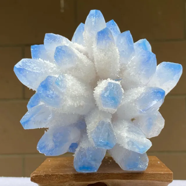 1.5LB New Find Blue Phantom Quartz Crystal Cluster Mineral Specimen Healin