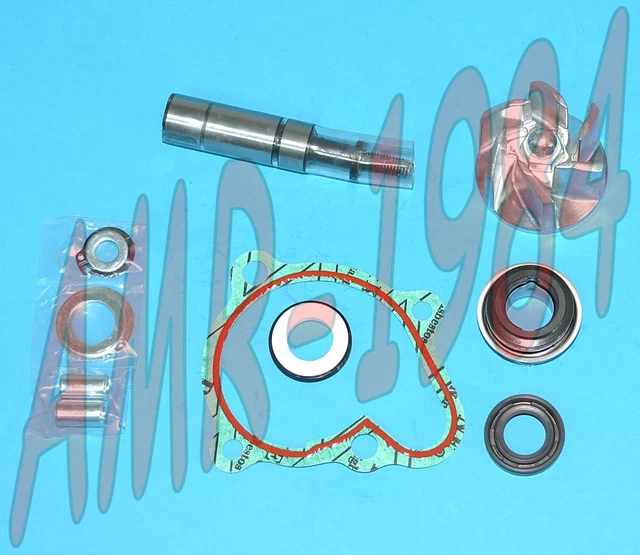Set Révision Pompe à Eau H2O Kymco Downtown 200 300 People Gti 300 100110490