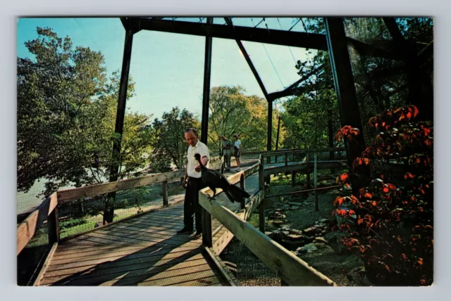 Cincinnati OH-Ohio, Cincinnati Zoological Gardens, Vintage Postcard