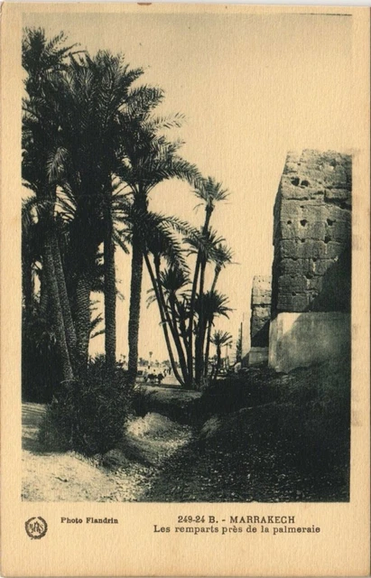CPA AK MAROC MARRAKECH Les remparts prés de la palmeraie Flandrin (37956)