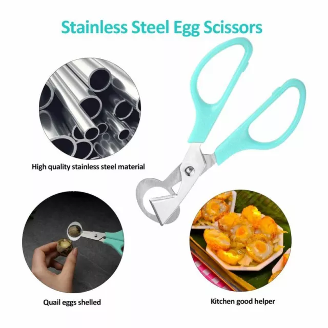 Pigeon Quail Egg Scissors Cracker Opener Cigar Cutter Stainless Steel Tool@^AU