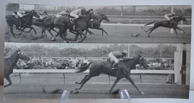Foto Analogica Anonimo Verso 1960 Racing Pista Cavallo Passeggiate a Cavallo