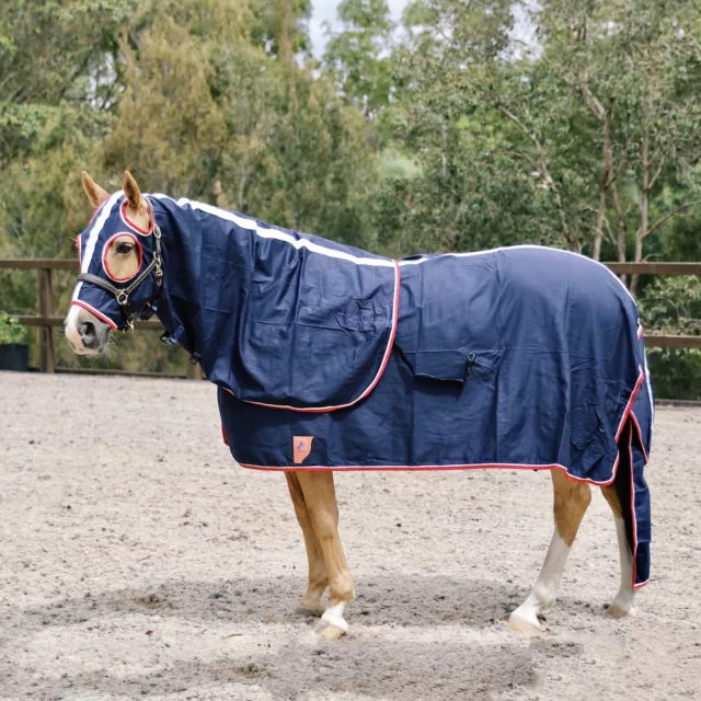 Capriole Navy Cotton Horse Show Set Rug, Hood & Tailbag Combo Red Trim