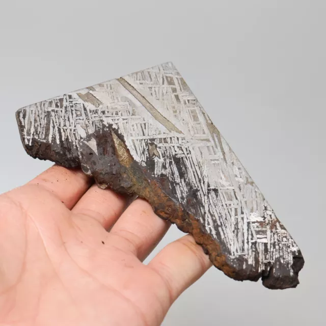 192g Muonionalusta meteorite part slice  A1920