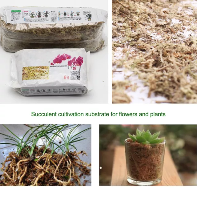 6/12L DRIED SPHAGNUM Moss Potted Plant Organic Nutrition Fertilizer ...