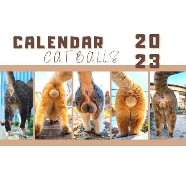 Funny Cats Calendar-Cat Buttholes Calendar 2023:Funny Cat Balls Calendar Present