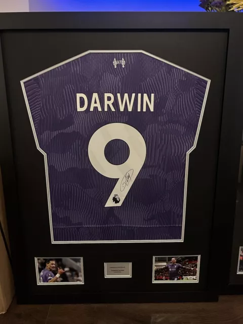Darwin Nunez signed + Framed Liverpool 23/24 Purple Shirt *private signing* COA