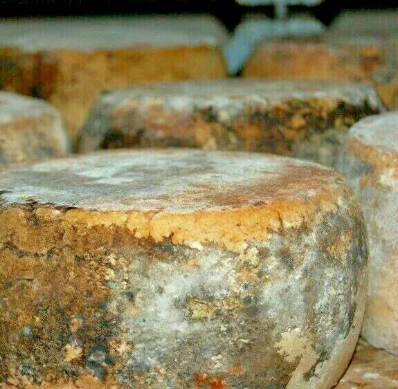 FROMAGE PECORINO AFFINÉ en FOSSE 1Kg ITALIEN FROMAGES PRODUITS TYPIQUES ITALIENS