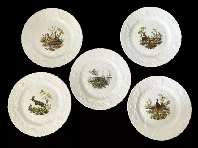 Queens Rosina China Co Fine Bone China England Wildlife Salad Plates Set Of 5