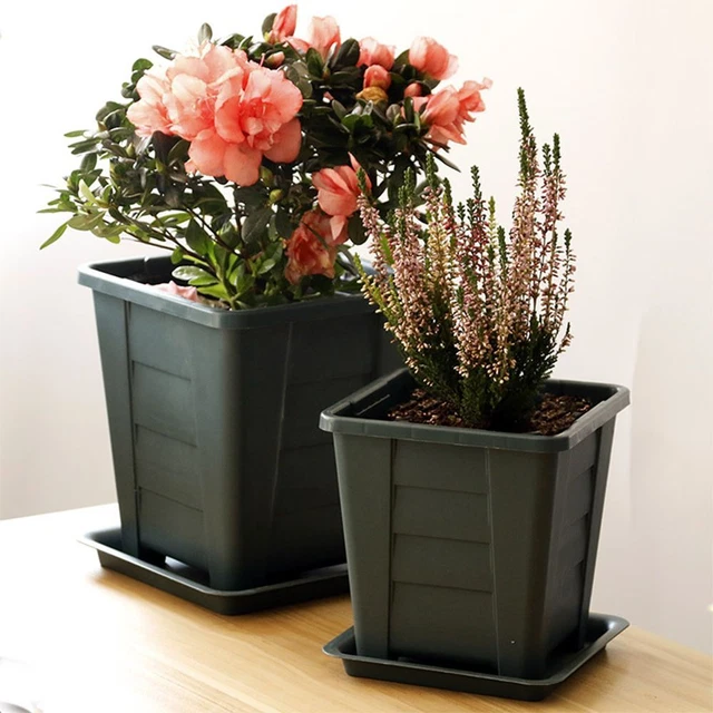 Plastique Accueil Pot de Plante Planteur Pots de fleurs Boîte succulente