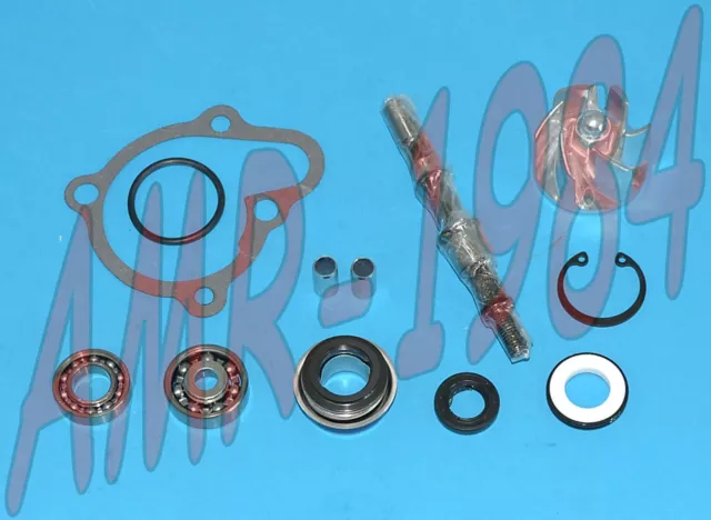 Set Révision Pompe à Eau H2O Kymco People Grand Dink Xciting 250 300 AA00816