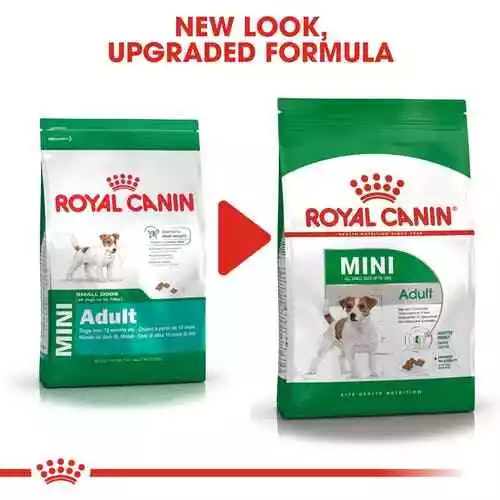 Royal Canin Mini Adult Croquettes Pour Chiens Petite Couper 800gr 2