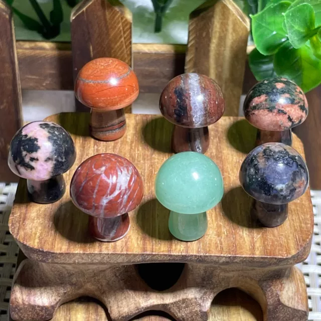 7pcs Natural mushroom various Quartz Crystal Carved Reiki healing decor A1600