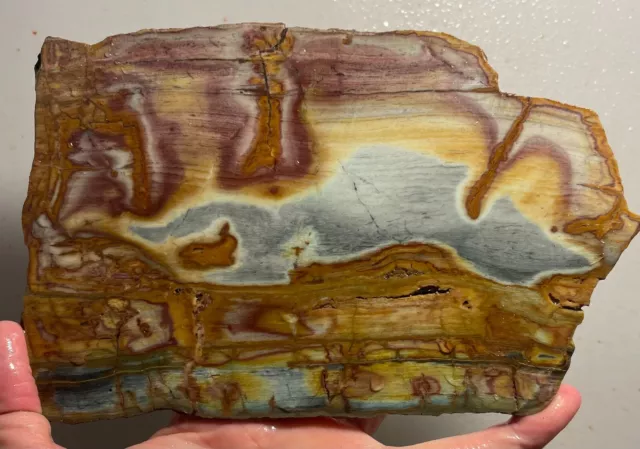 Nevada Jasper Rough Slab! Wonder stone?