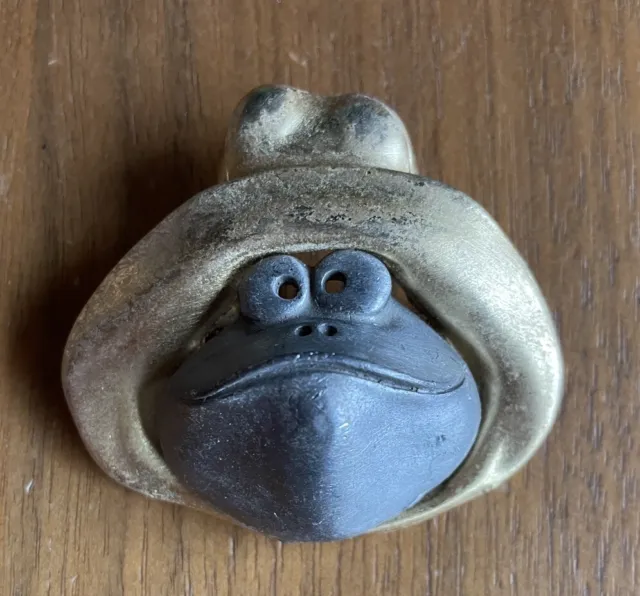 Frog Face With Rain Hat Brooch Pin