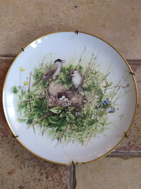 assiette porcelaine limoges C.H.FIELD .HAVILAND dècor florale