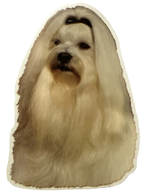 Pegatina Perro de Coche para Disco Maltés Nuevo Aprox. 19CM
