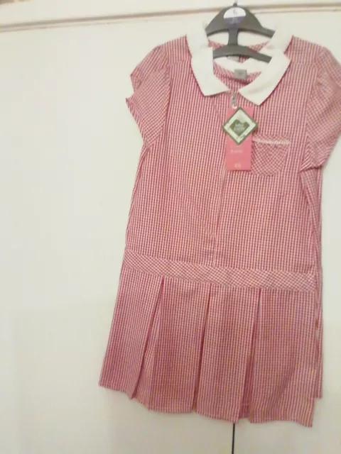 Tu Bnwt Girls Red White Checked School Dresses Age 7 Years Pack Of 2