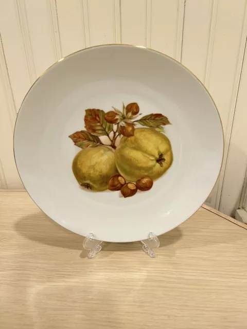 Vintage BAREUTHER WALDSASSEN Bavaria Germany China Fruit Dessert Salad Plate